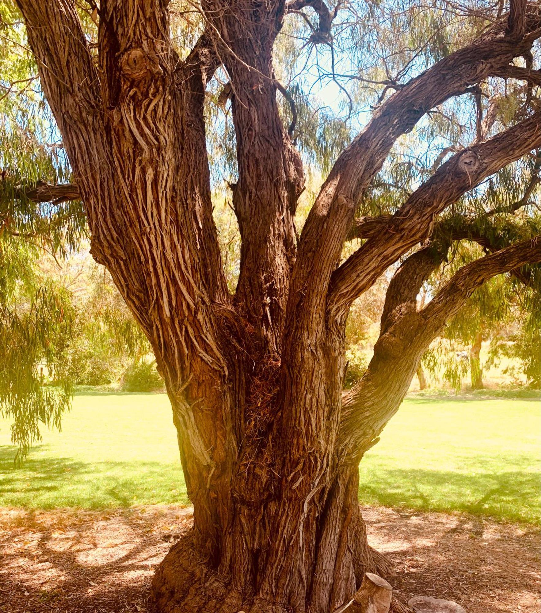 Spring Bay Villas, Denmark, Wa מראה חיצוני תמונה