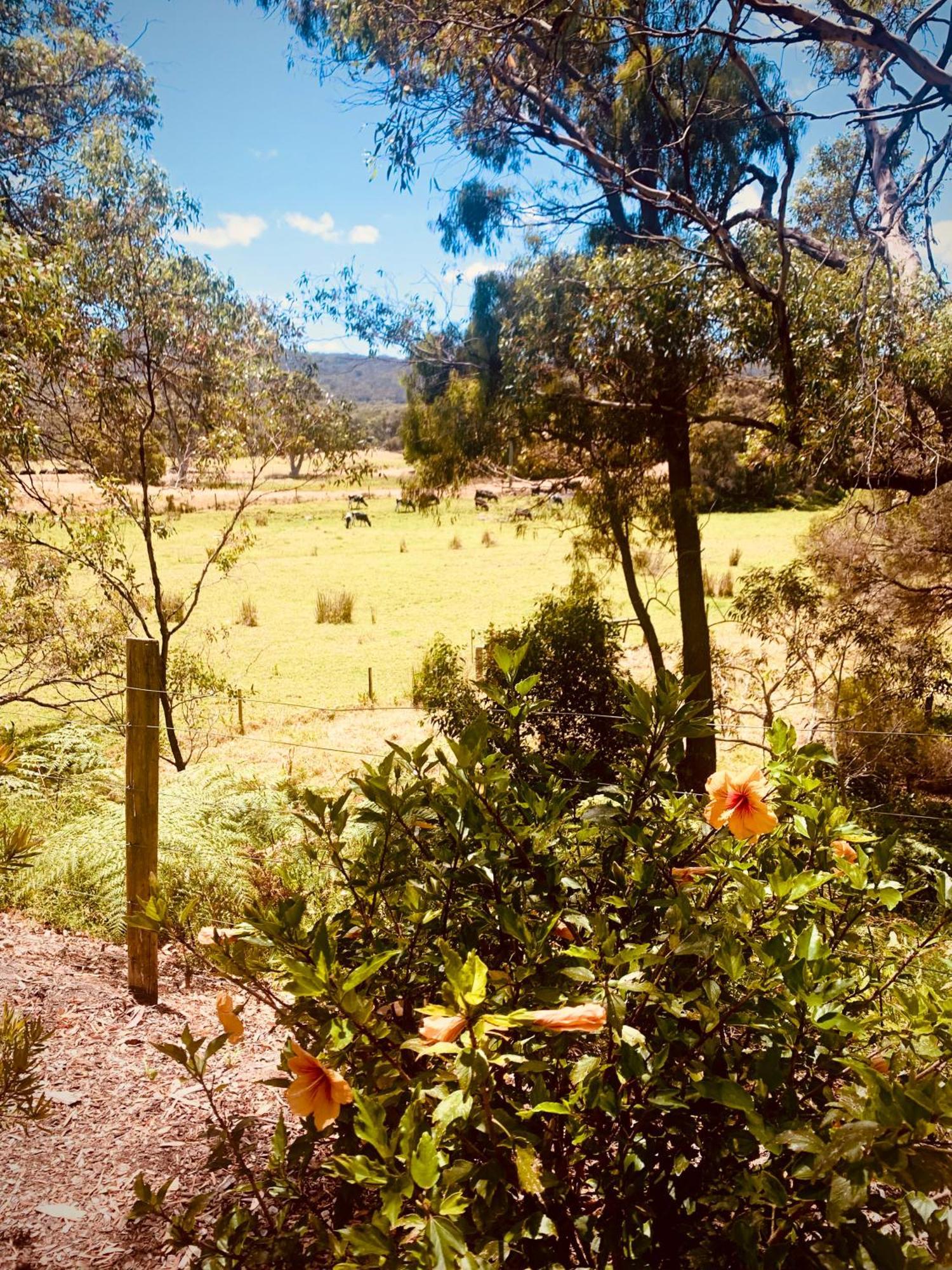 Spring Bay Villas, Denmark, Wa מראה חיצוני תמונה